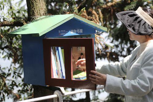 迷你书院,探索知识海洋的微型宝库